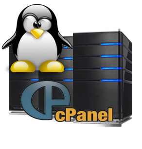 Webserver Linux Plesk Medium